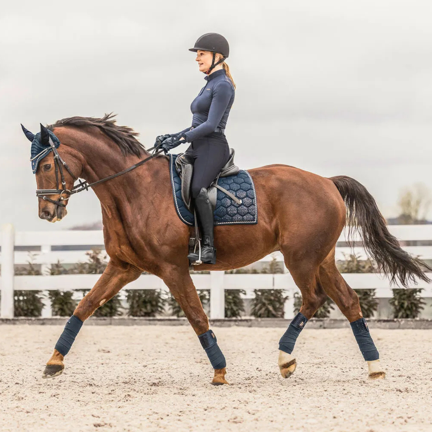 Boaz | Silky Gloss Saddle Pad with Multicolor Glitter and Logo Plaque - Saddle Pad