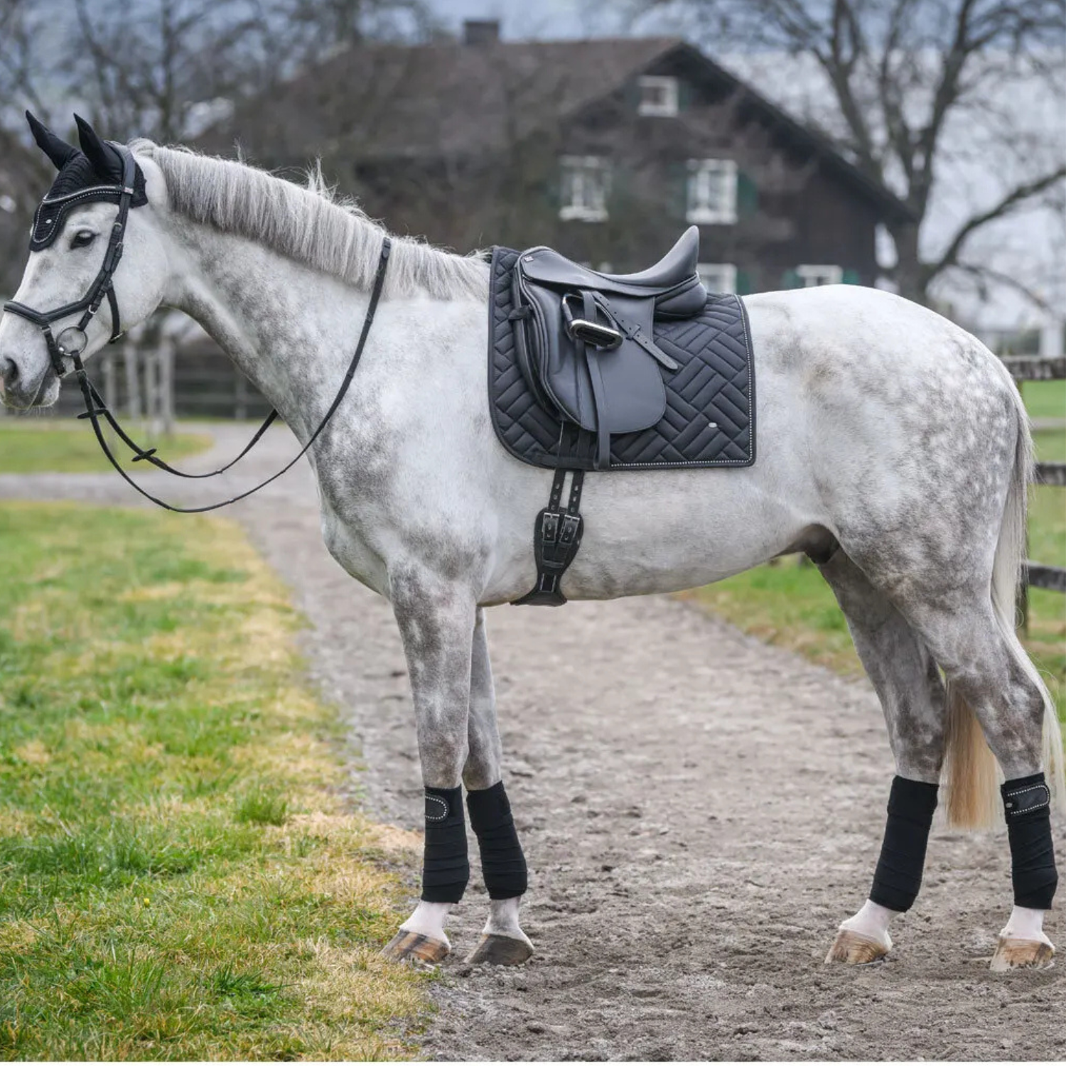 Ties | Zwart Dressuur Zadeldek met Ruitstiksel - Saddle Pad