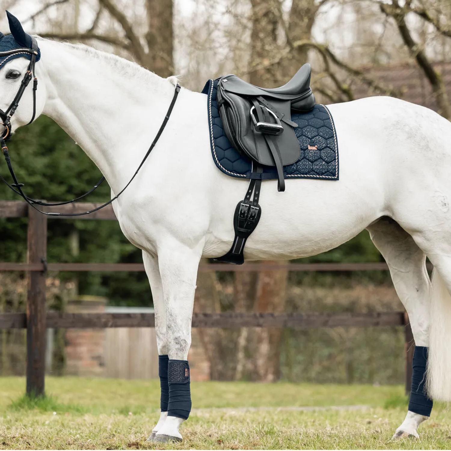 Boaz | Silky Gloss Saddle Pad with Multicolor Glitter and Logo Plaque - Saddle Pad