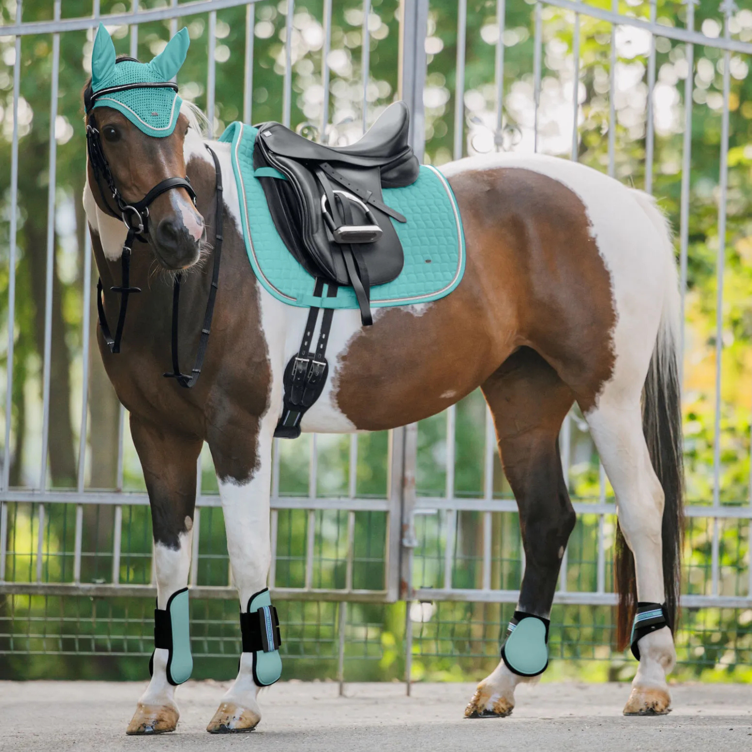 Niels | Vormvast katoenen zadeldek met dubbele glanzende koordbies - Saddle Pad